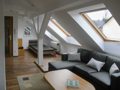 Möbliertes Appartement 1,5-Zimmer in 75365 Calw