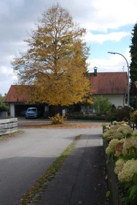 Einfamilienhaus mit 7 Zimmern und Doppelgarage in Kottgeisering mit Blick ins Ampermoos