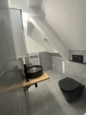 Alles neu, 2er o. 3er-Studi-WG, neues BAD, neue Einbauküche, neuer Laminatboden