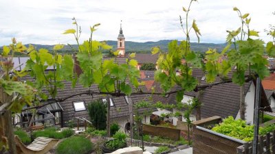 Zweifamilienhaus am Ortsrand von Merdingen mit einmaliger Aussicht