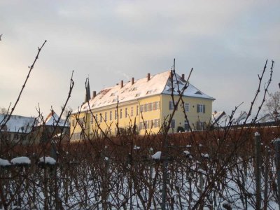 Denkmalgeschütze 4-Zimmer-Altbauwohnung in Kirchheimbolanden
