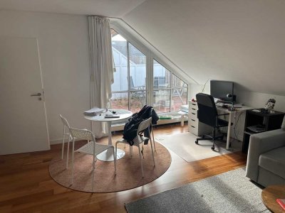 Voll möblierte 2-Zimmer Wohnung mit Dachterrasse