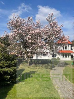 Villa auf uneinsehbarem Parkgrundstück