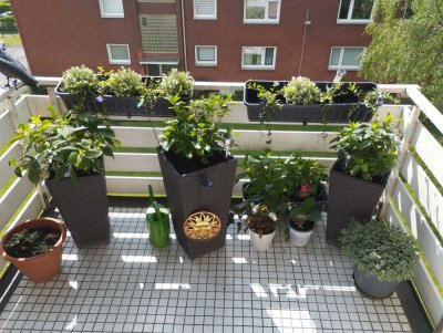 Attraktive 3-Zimmer-Wohnung mit Balkon in Dortmund (WG-geeignet)