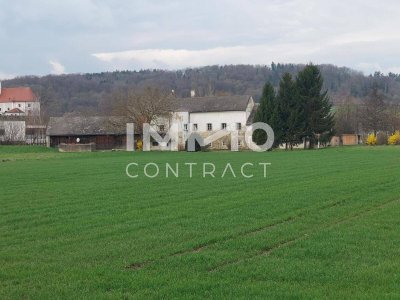Ehemaliger Mühlhof mit Landwirtschaft!