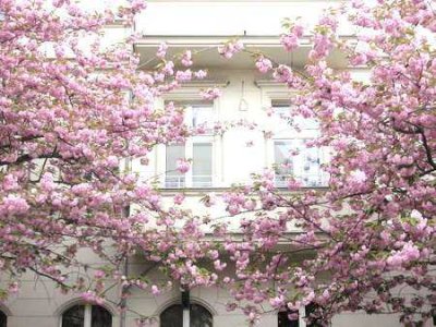 Traumhafter, heller 150 qm Altbau (4 Zimmer) im begehrten Bötzowviertel !! Bright 150 sqm