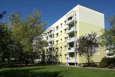 Ideal für den Start - klein aber mein!