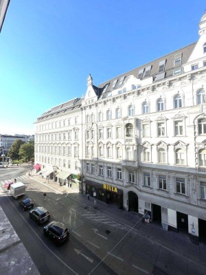 Stilvolle 1- Zimmer Wohnung, top saniert, Pilgramgasse!