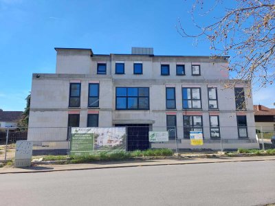 Tolle Neubauwohnung in Nauheim zu vermieten - 3 ZKB - mit Aufzug - OG links