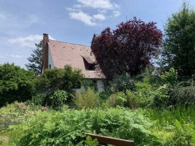 1400 m² Garten EDEN, plus gemütlichem Häuschen