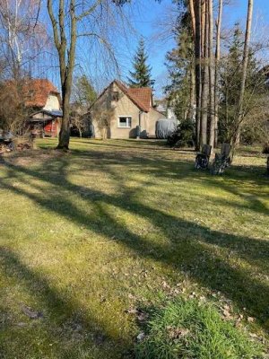 Bungalow oder Einfamilienhaus mit über 150m² Wohnfläche und Grundstück in Schildow