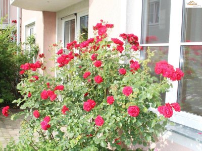 Traumhafte 4-Zimmer-Eigentumswohnung mit Terrasse und direktem Gartenanschluss