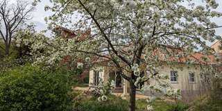 Neubau - Einfamilienhaus mit geh. Innenausstattung und EBK in Potsdam Teltower Vorstadt