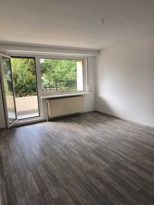 Moderne  helle Wohnung    mit Balkon nähe Ölper See