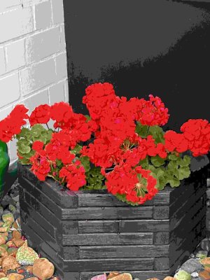 Eintreten und wohlfühlen - wohnen wie im Urlaub