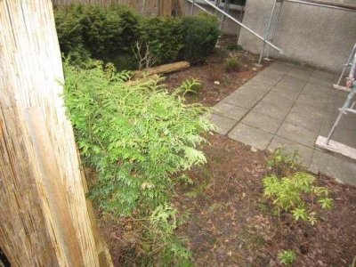 Nur mit WBS !! und Personen ab 50 Jahren!!