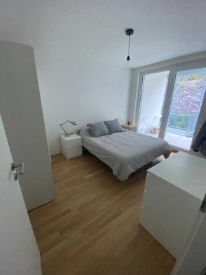 Vollständig saniertes 1-Zimmer Apartment nahe Wilhelmstraße und Altstadt