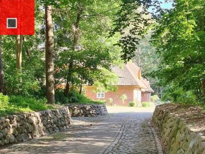 Waldidyll im Landkreis Vorpommern-Rügen!!