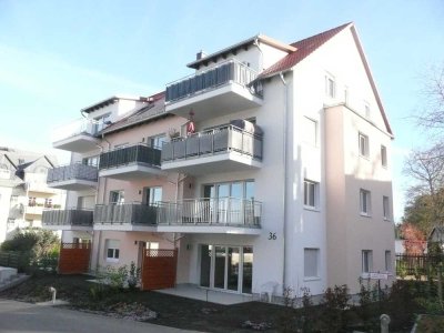 +++ Nachmieter gesucht +++ 2 Zimmer Wohnung mit Terrasse sowie Gartenabteil
