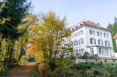 Villa in Steinen - helle 2,5 Zimmerwohnung mit EBK