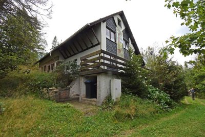*Ein Traum in der Natur! - Großes Haus mit Grundstück in Auerbach/ Vogelsgrün*