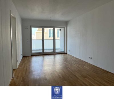Modernes Wohnen in der Dresdner Innenstadt!