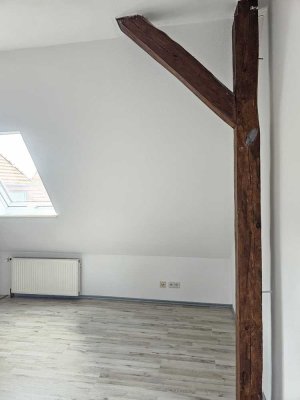 Helle frisch sanierte 1,5 Zimmer Wohnung im Dachgeschoss zu vermieten (mit Bewerbungsschreiben)