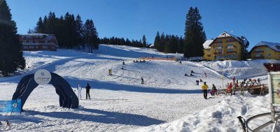 Exklusive, neuwertige 2-Raum-DG-Wohnung mit lux. Innenausstattung mit EBK in Feldberg (Schwarzwald)