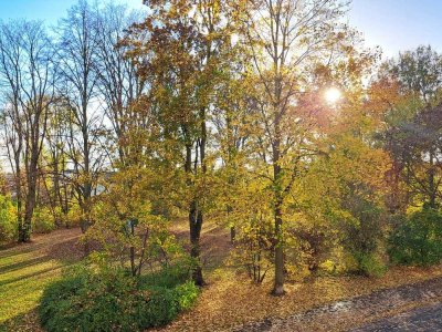 ! Erstbezug nach Sanierung - es bleiben keine Wünsche offen !