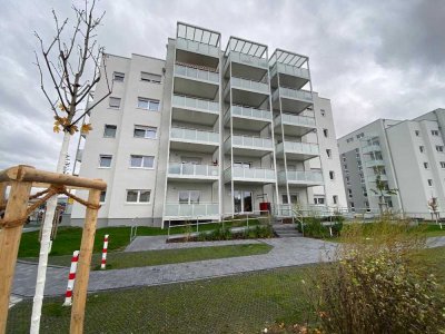 Neuwertige 2 Zimmer Wohnung in Biebesheim am Rhein