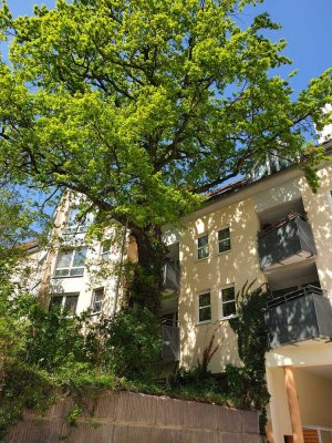 Ruhige 1,5-Zi WHG in grüner Zentrumslage (mit Aufzug + EBK)