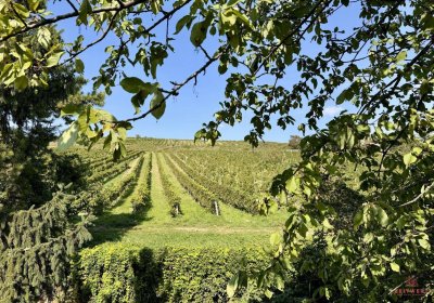 LAGE LAGE LAGE - NUSSBERG - wunderschön gelegene Wohnung mit Dachterrasse und Blick über Wien und den Wiener Nussberg