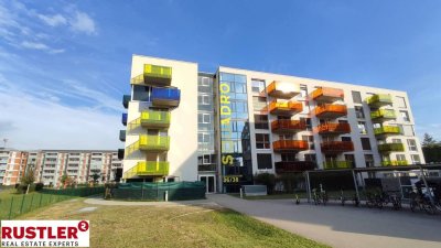 Garten-Ruhe Oase nahe KUK