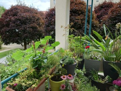 Seltene Gelegenheit im Gartenviertel - zentral, ruhig, wenige Gehminuten zum Marktplatz