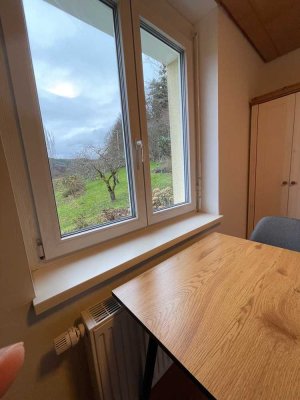 Möblierte Wohnung (2 ZW) mit Balkon in Lahr-Reichenbach (befristet)