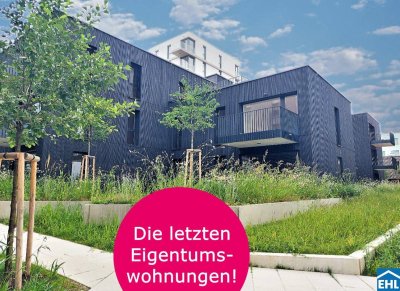 Herzlich willkommen zum Projekt WILDGARTEN 