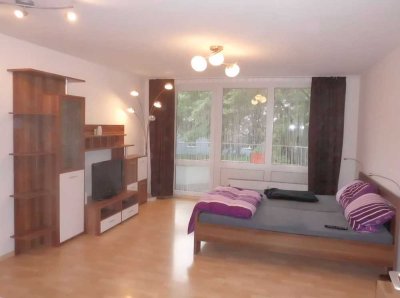 **Schönes, großzügiges 1-Zimmer Apartment in Citylage**