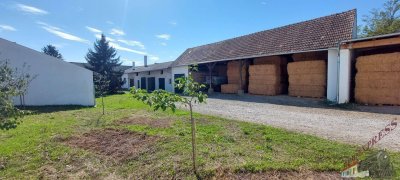 Rarität! 2 Wohnadressen und viele Möglichkeiten