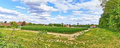 NEUER KP- Ca. 3700 qm Sonnengrundstück mit historischem 15-ZIMMER-GUTSHOF - für 2 bis 4 Familien