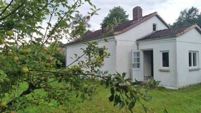 Kleines Haus auf sonnigem Traumgrundstück in Bremen Borgfeld