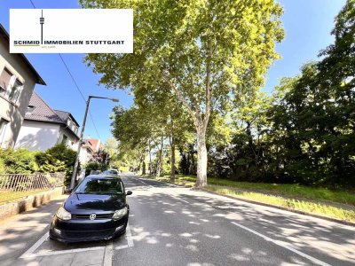 Neu sanierte, super schöne 2-3 Zi-Jugendstil-Wohnung (ca. 99m²)