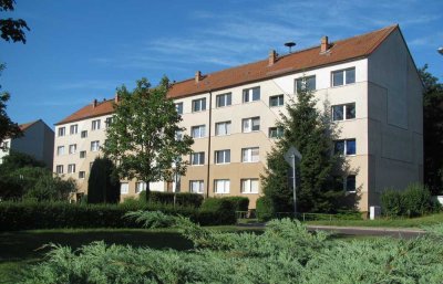 Ein Zuhause mit herrlichen Panorama über die Elbwiesen