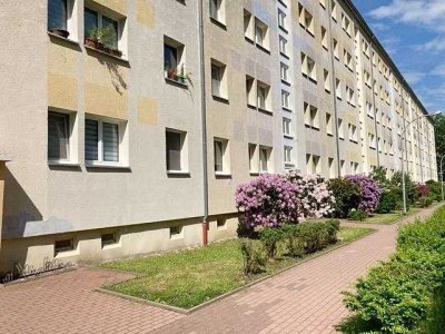 Viel Raum für die ganze Familie