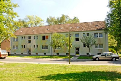 Demnächst frei! 2-Zimmer-Wohnung in Recklinghausen Hochlarmark mit WBS