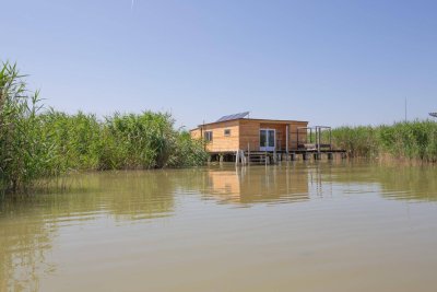 Flachdachhütte in traumhaft ruhiger Lage am offenen See