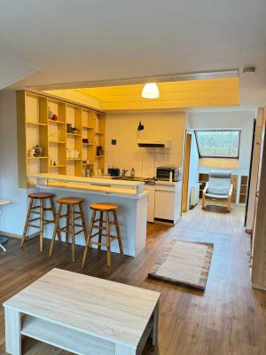 Möbliertes Appartment, direkt wohlfühlen !