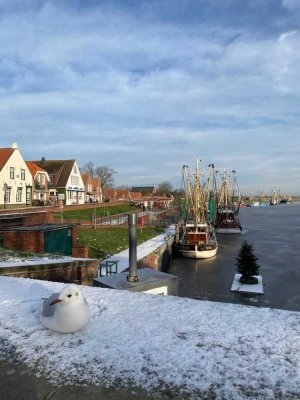 Reduziert! Wohnung in Greetsiel Selbstbezug oder Vermietung