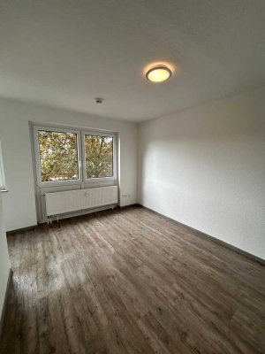 1-Zimmer Wohnung mit Pantry-Küche frisch renoviert Objekt 0009