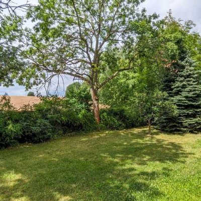 Grüne Lage, Balkon und Aufzug