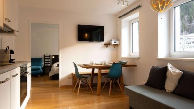 Kleine Wohnung, große Lage - direkt neben dem Skigebiet!